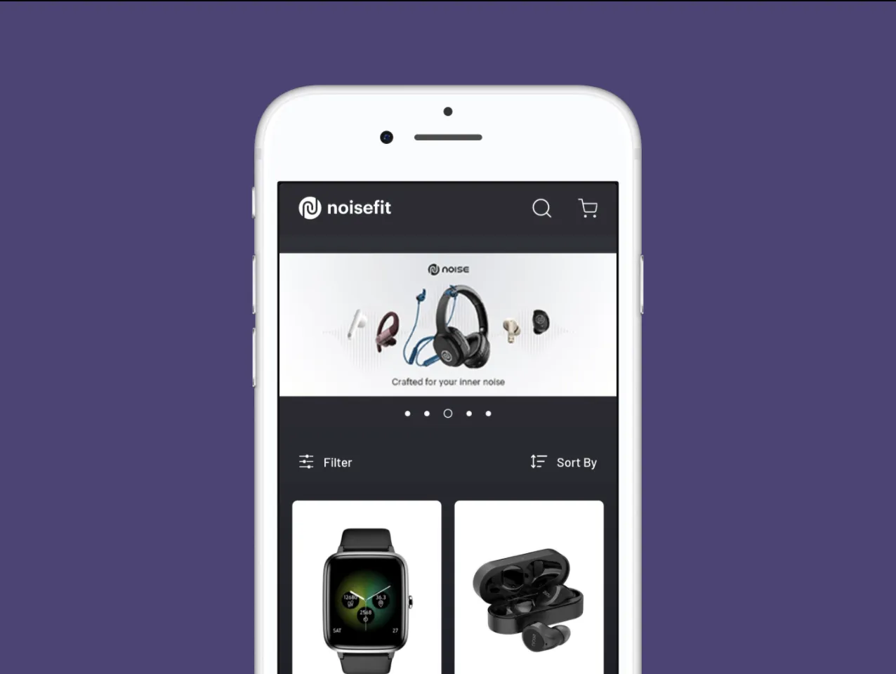 NoiseFit